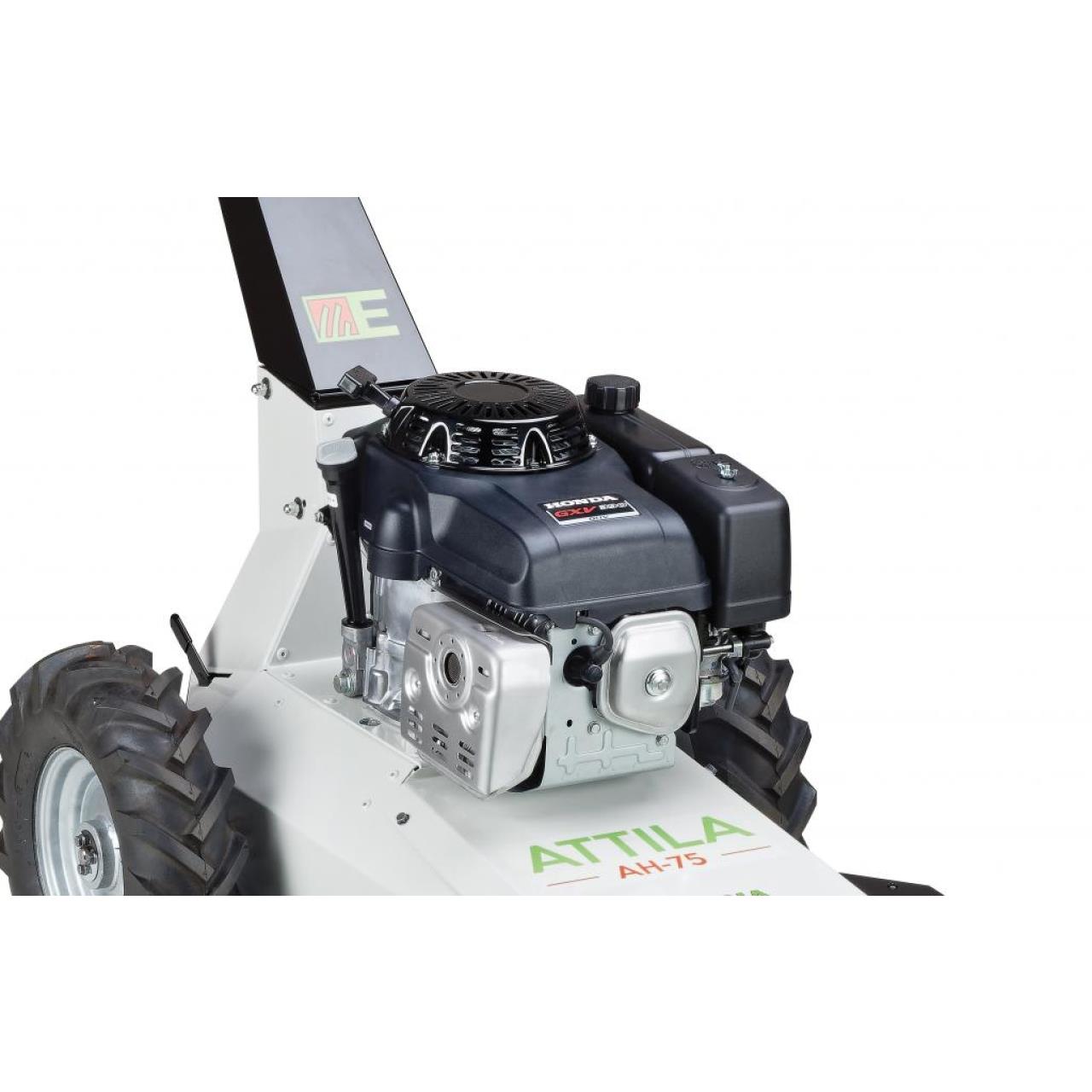 36000-1_Etesia_AH75